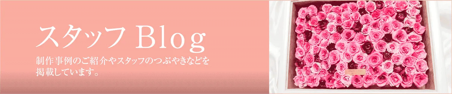 スタッフブログ