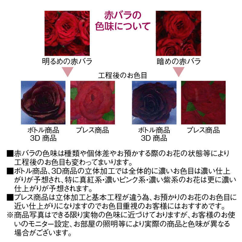 ♡バラ11輪の花言葉「最愛」プロポーズ商品ドリーム【プレートカラー・印字お選びいただけます】(5)